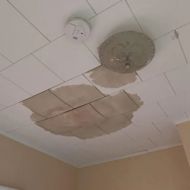 Ceiling Water Damage Repair in Muskego, WI