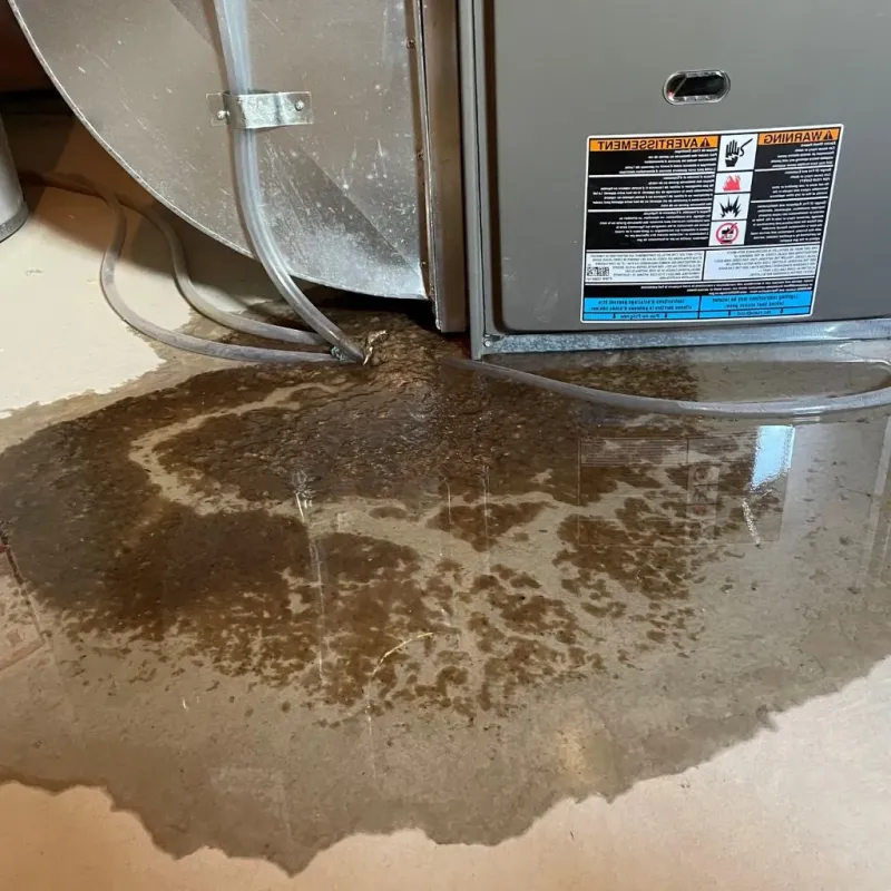 Pipe Burst and Leak Restoration in Muskego, WI